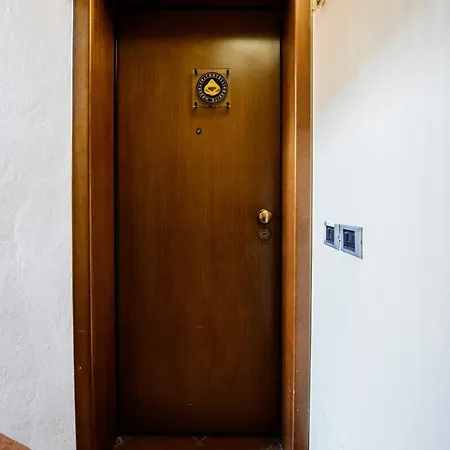 Urban Jungle Tortellinosuite *