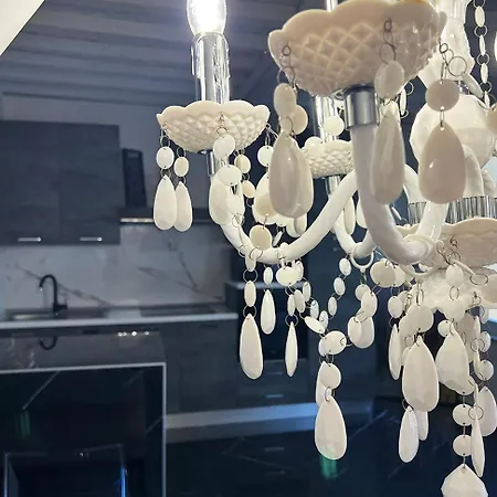 Urban Jungle Tortellinosuite