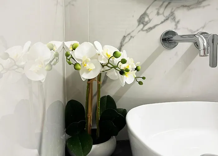 Urban Jungle Tortellinosuite * Modena