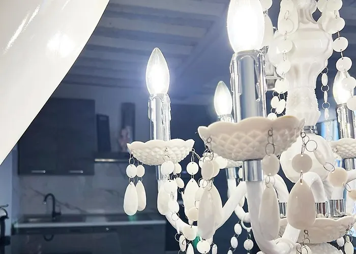 Urban Jungle Tortellinosuite Apartment